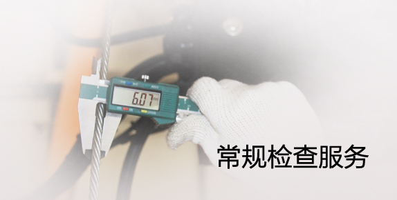 常規(guī)檢查服務